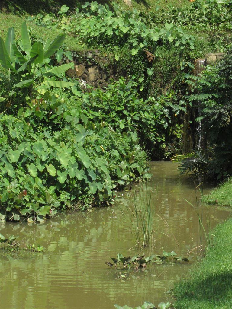 water1