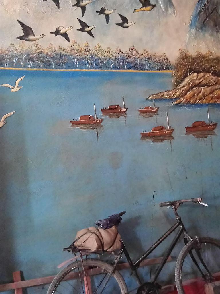 birds&bike