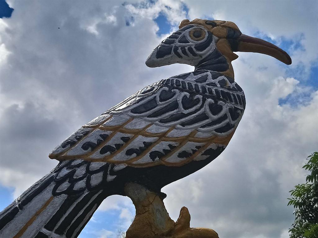 bird