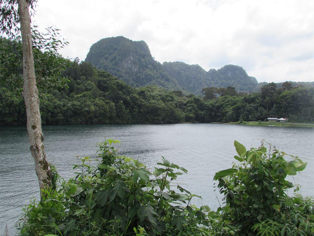 lakeview