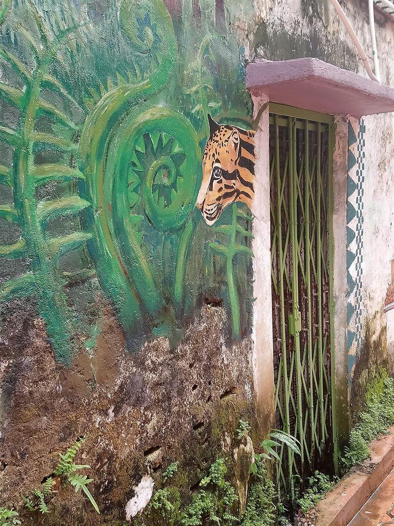 tiger