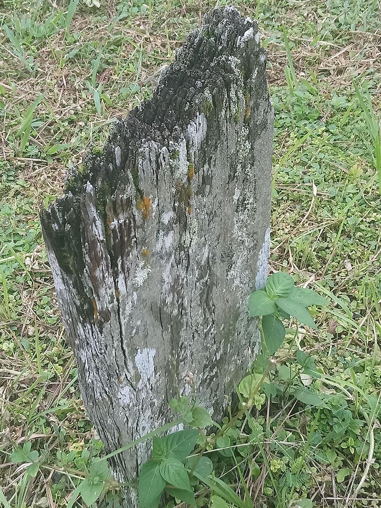 woodengravemark