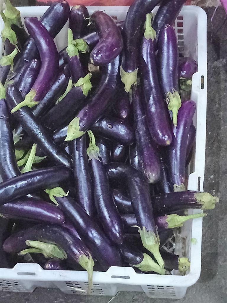 eggplant