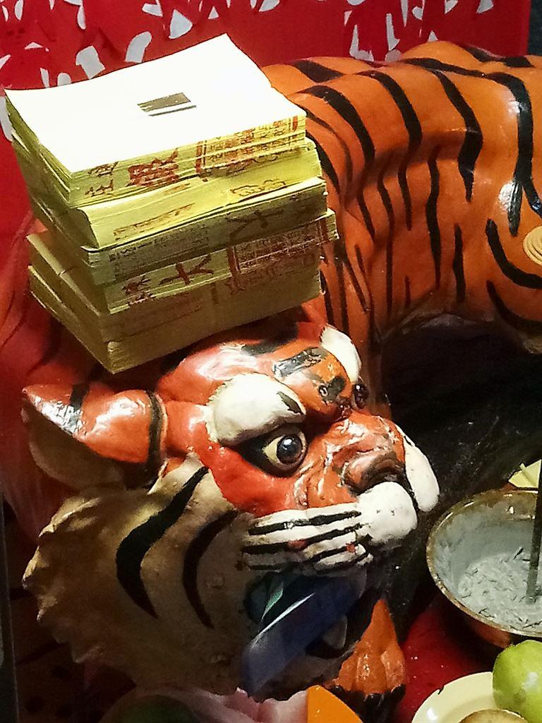 tiger