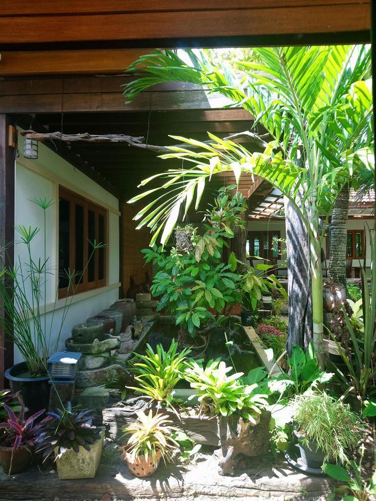 garden1