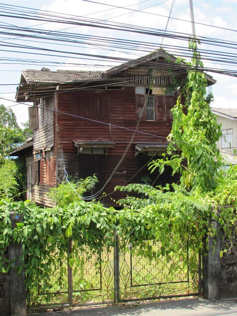 woodenhouse2