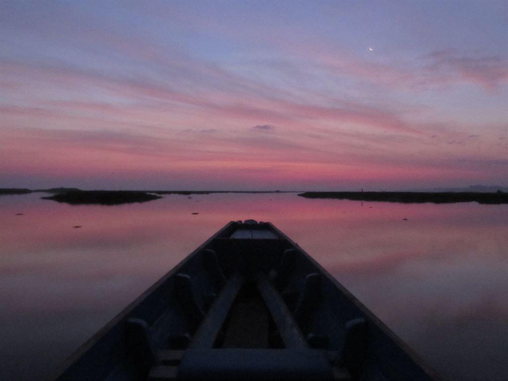 dawn