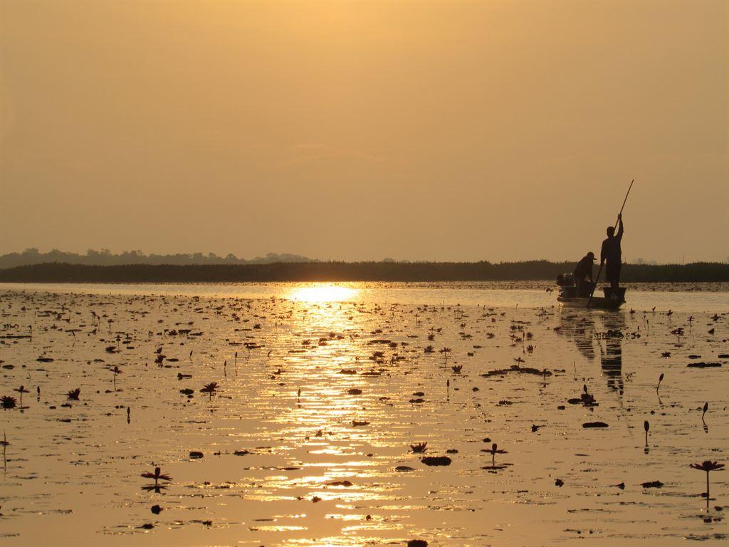 goldboatman