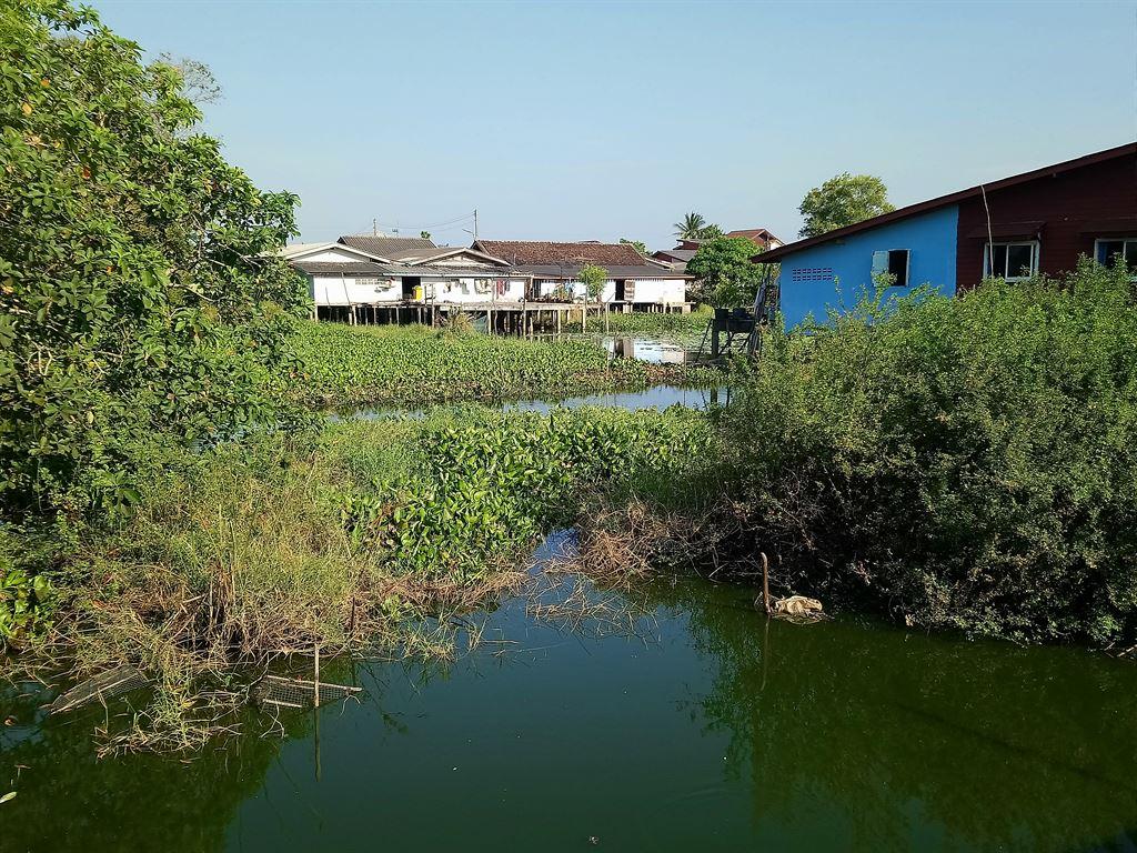 houses