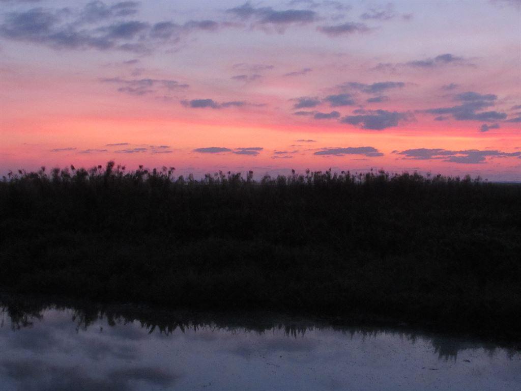 sunrise