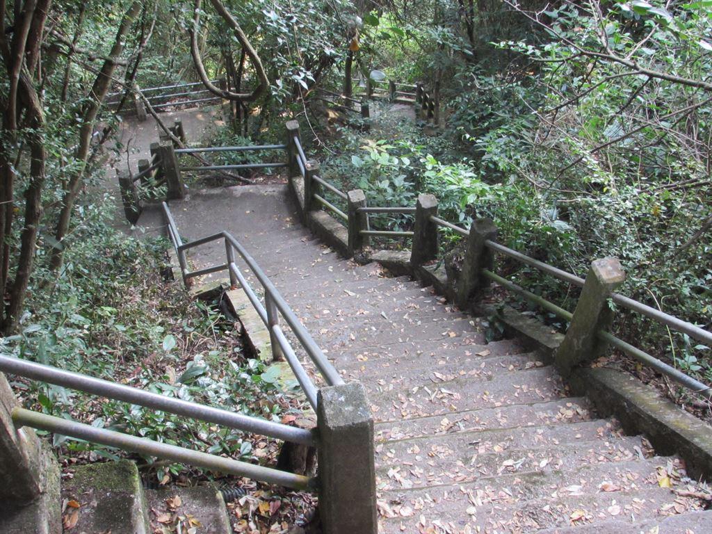 steps