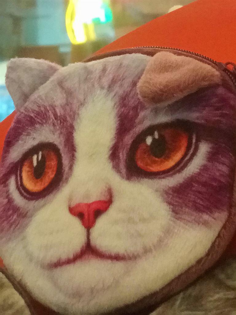 pursecat