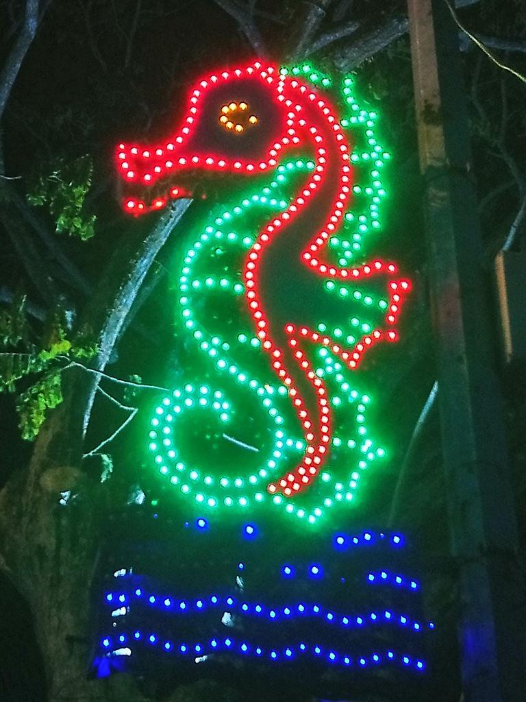 seahorse1