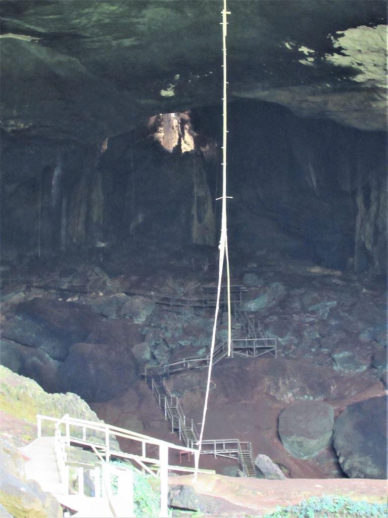 ladder