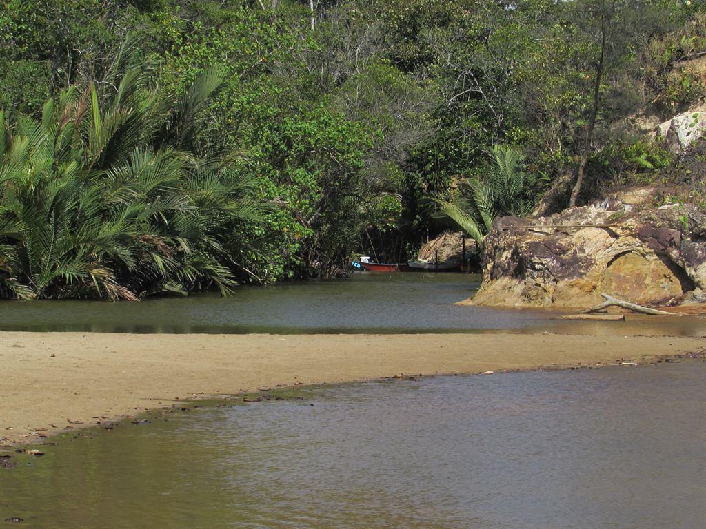tusanstream