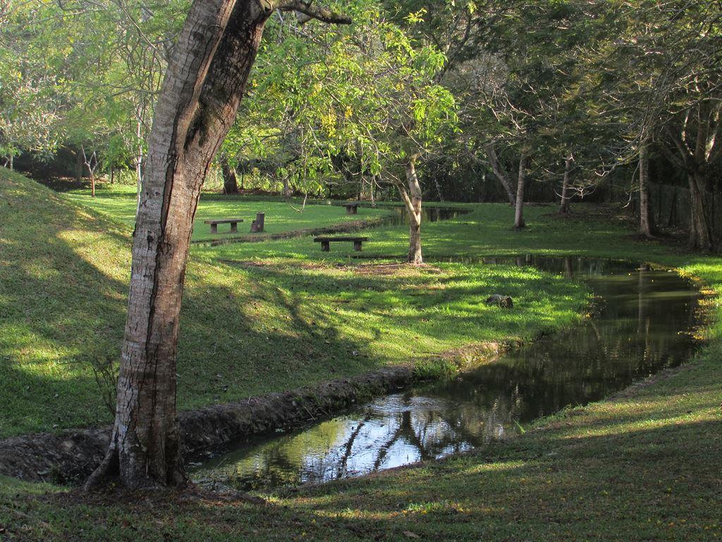 greenery