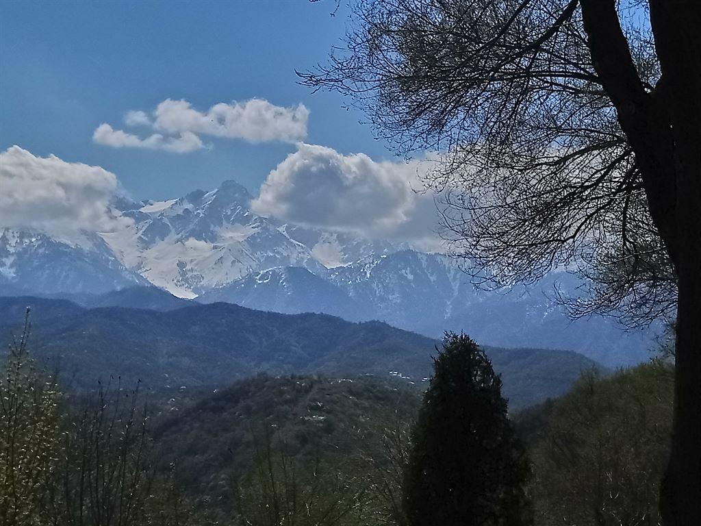 mountains