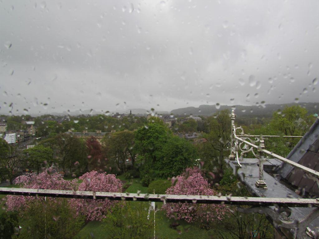 rain