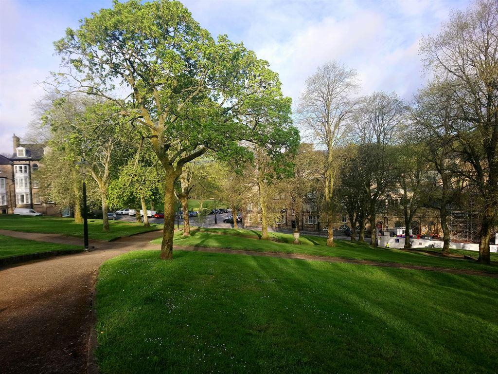 lawns