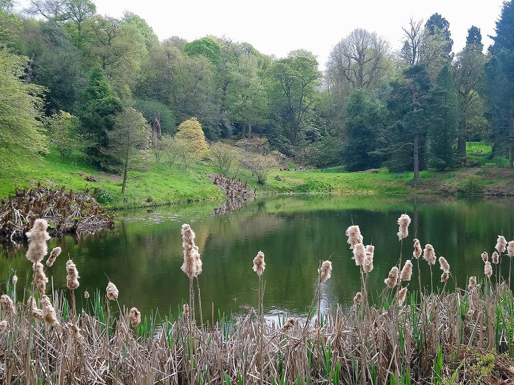 lake