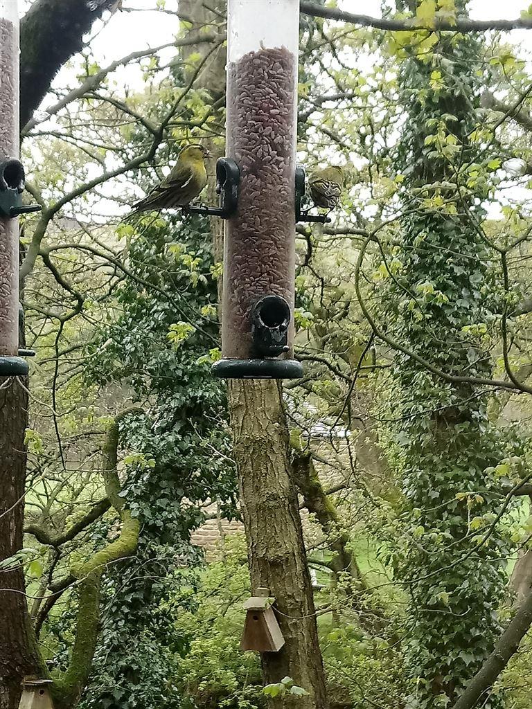 feeders