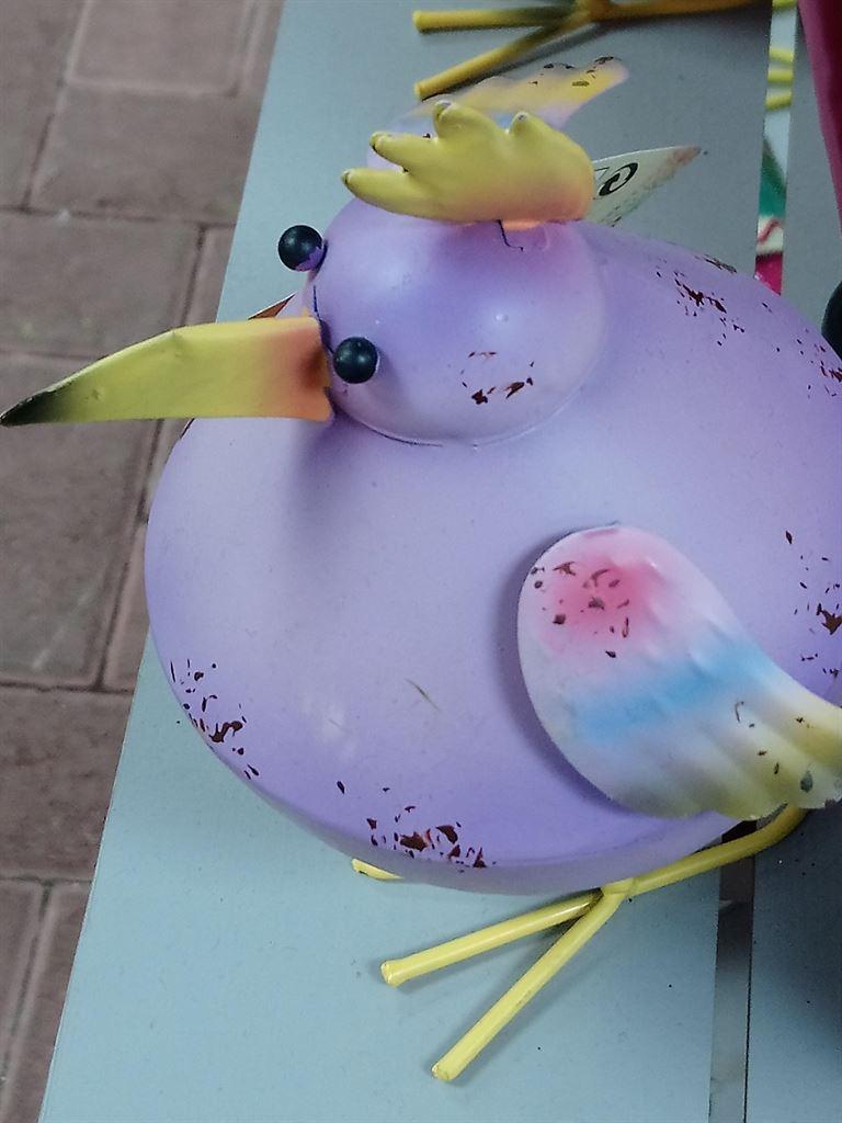 bird