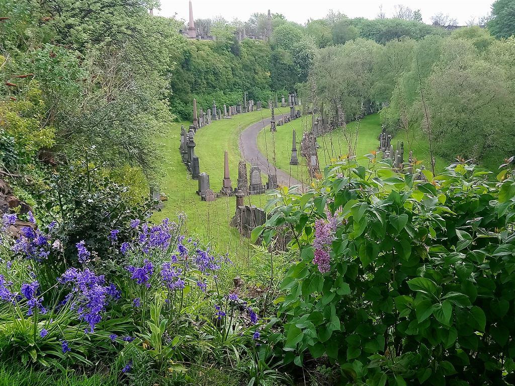 bluebells&graves