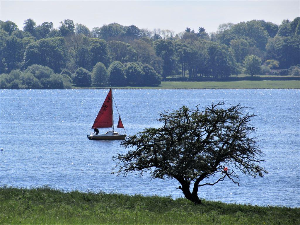 redboat