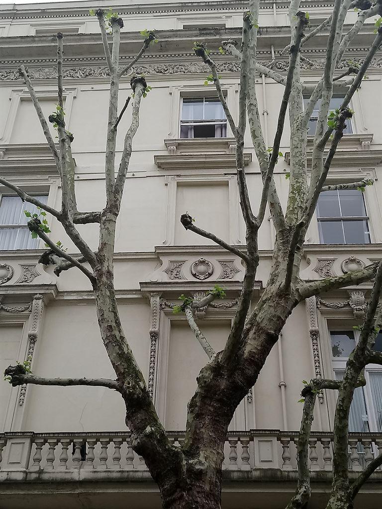 balustrade