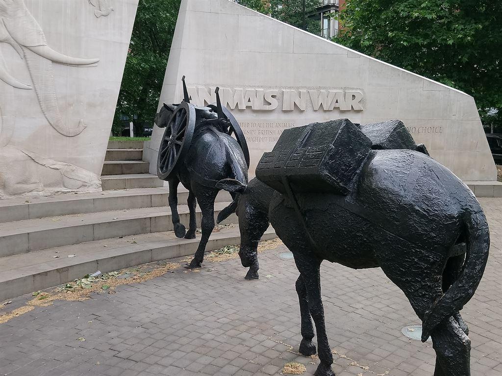 animalsinwar1