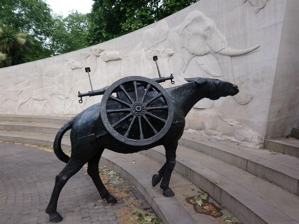 animalsinwar2