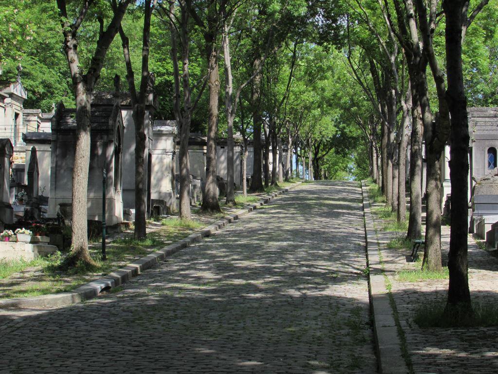 avenue