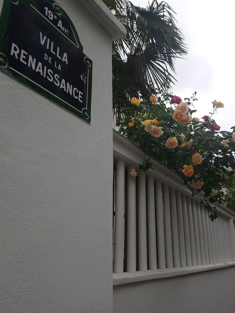 roses