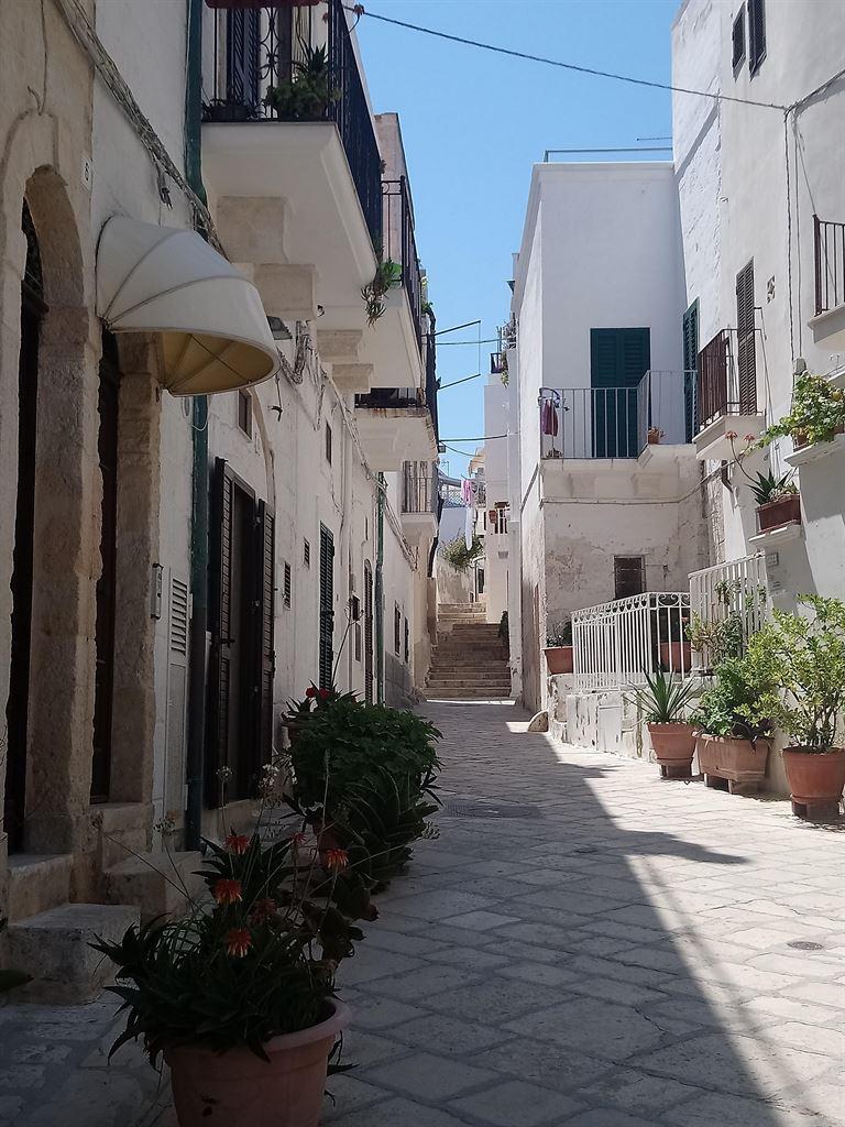 narrowstreet1