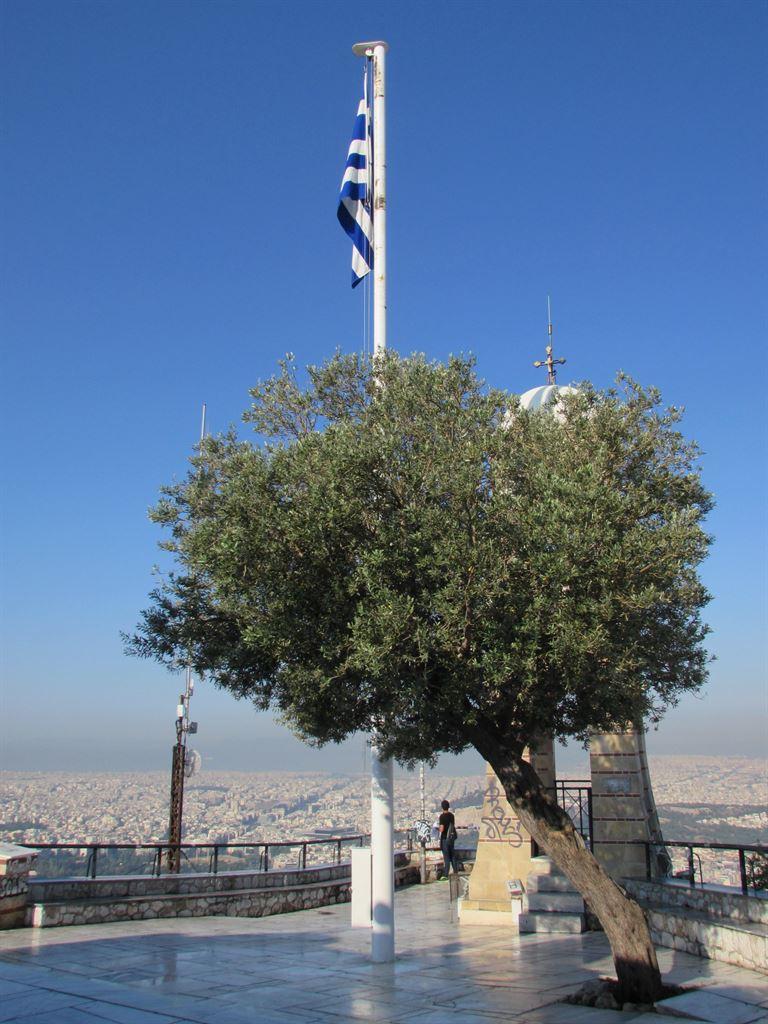 lycabettus3
