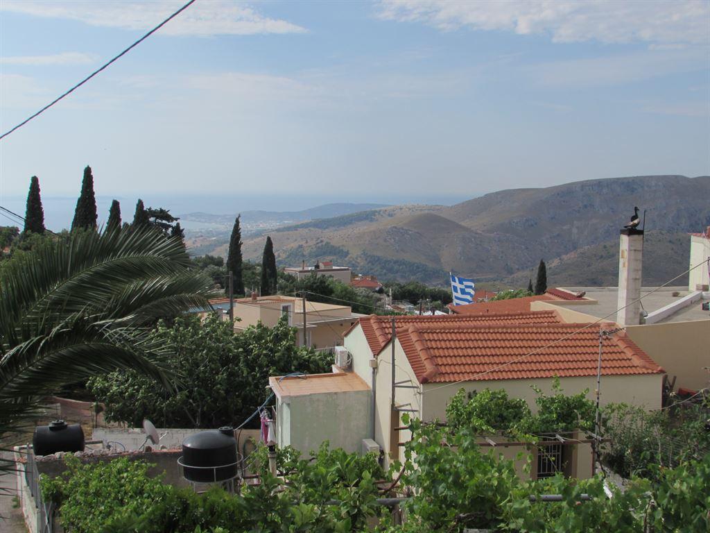 firstview