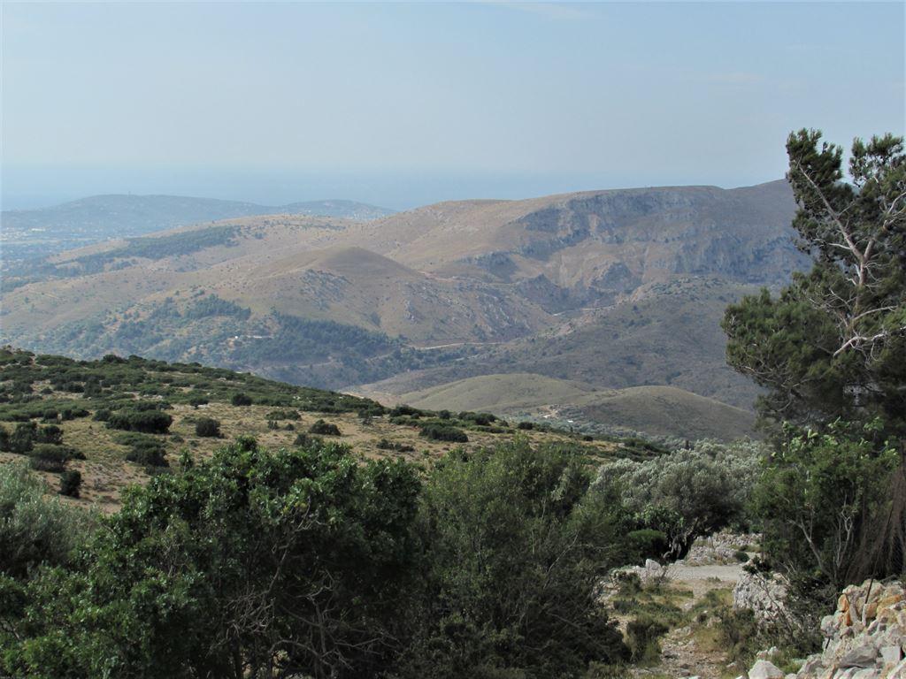 moreterrain
