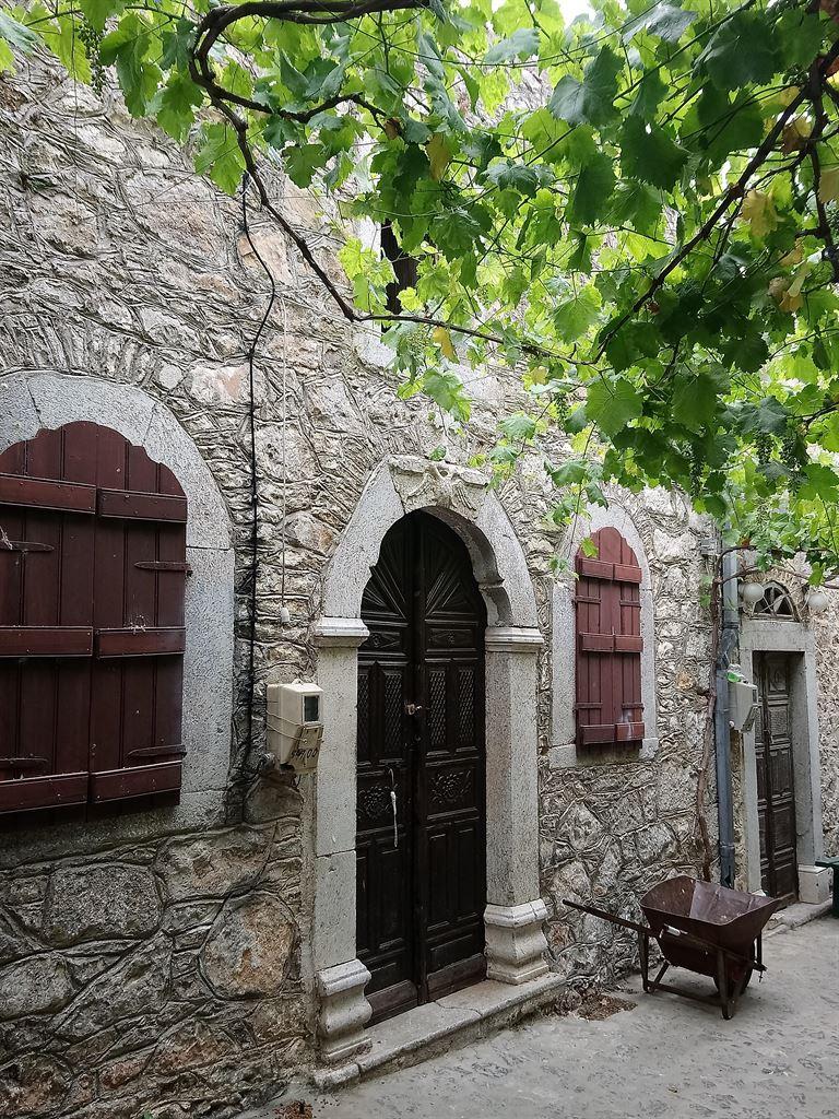 vineleaves