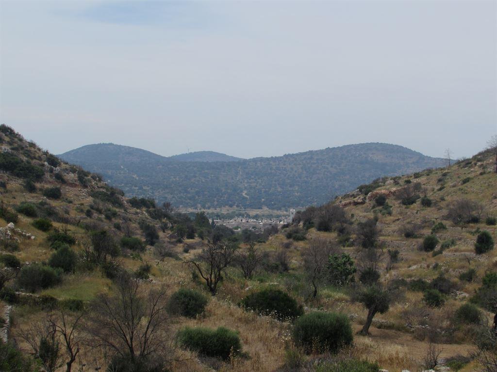 mesta
