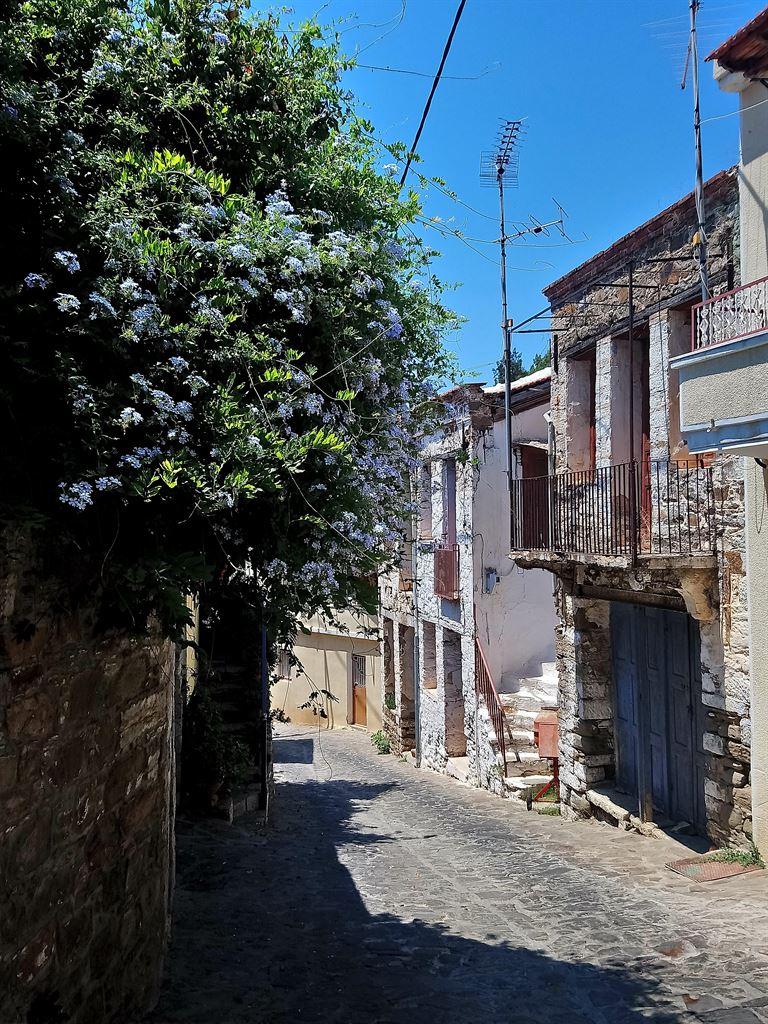 street1