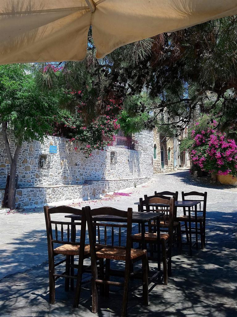 cafesquare