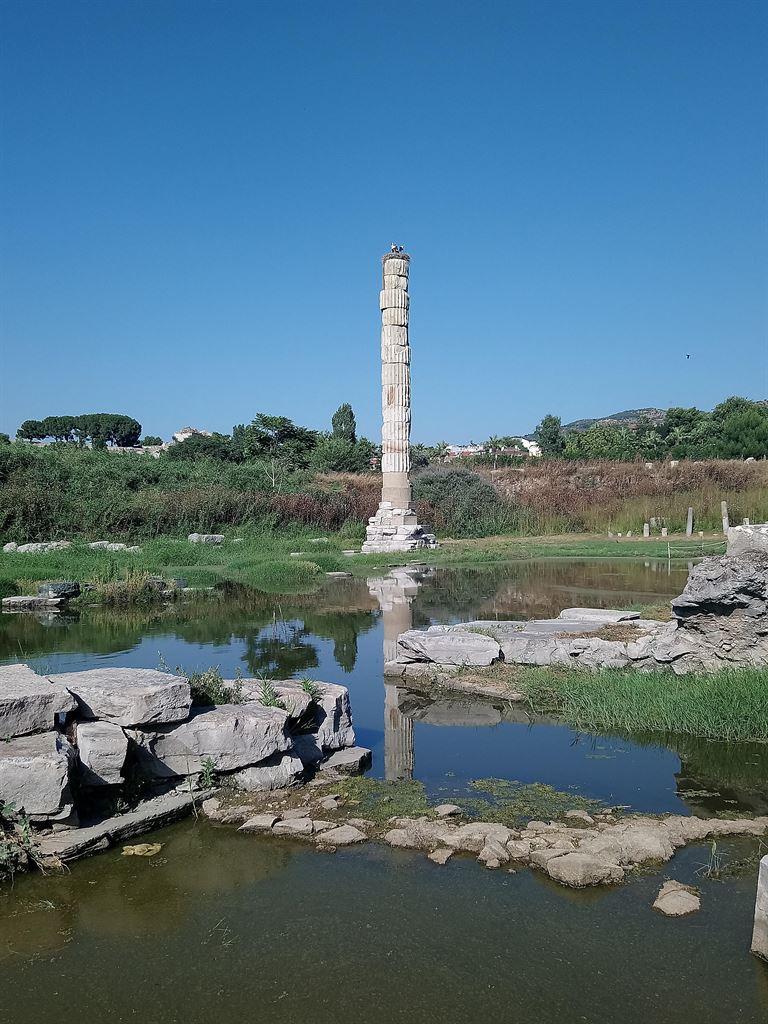 column2
