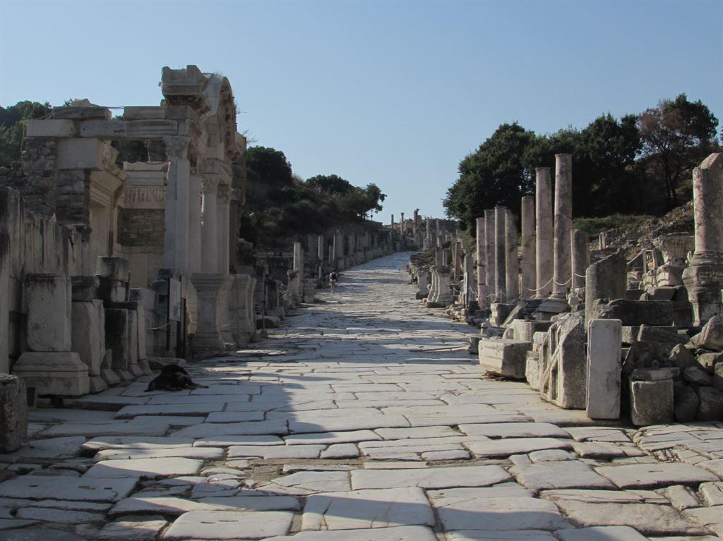 curetesbefore