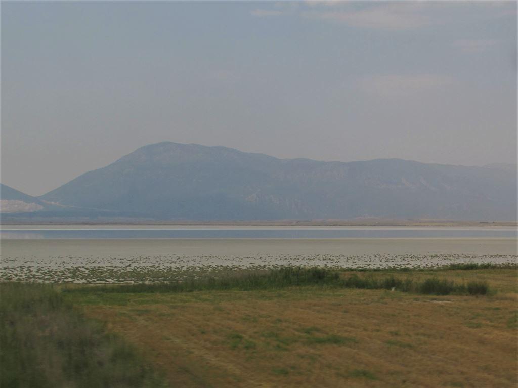 saltlake