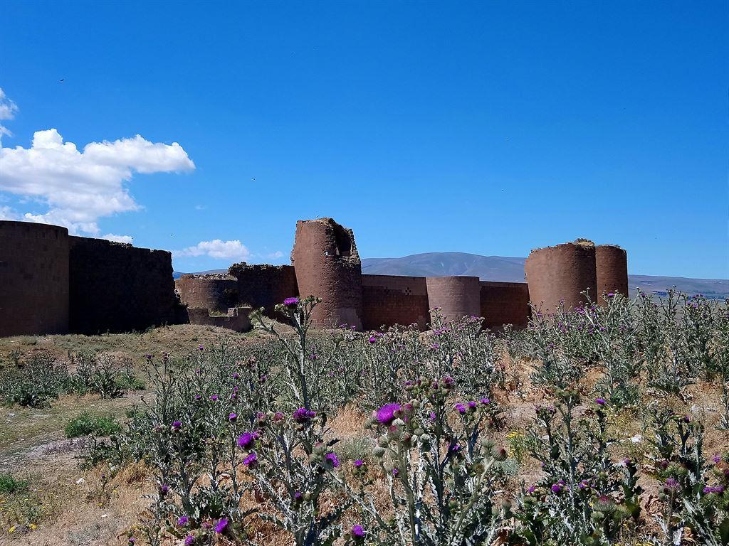 wall