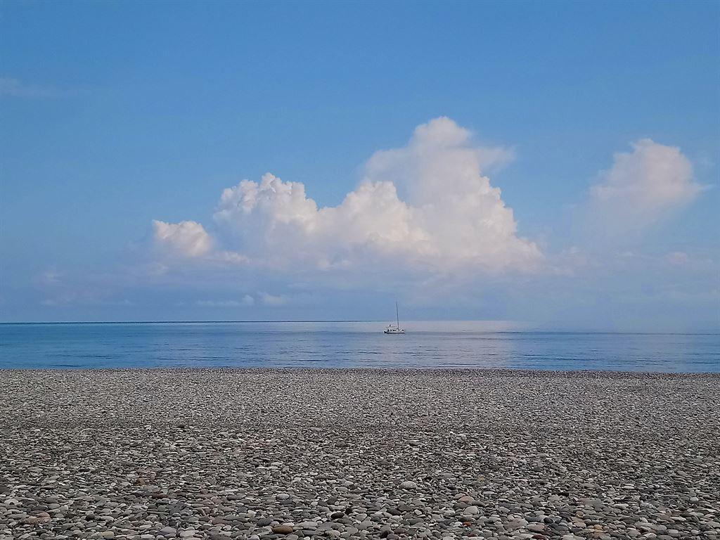 morningsea