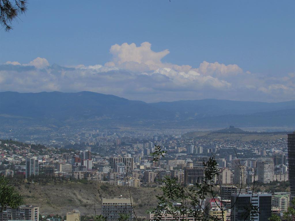 view