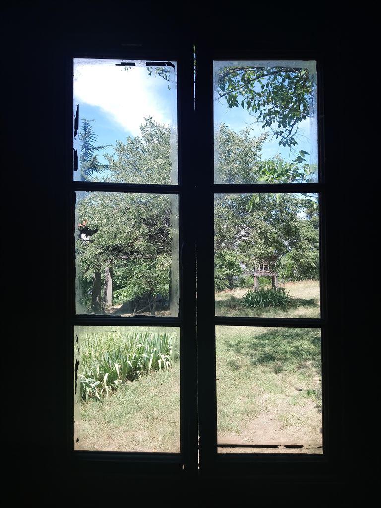window