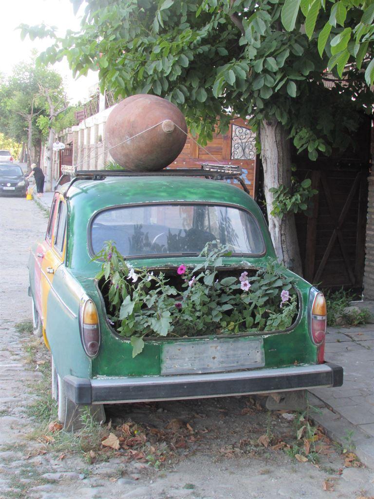 car&qvevri