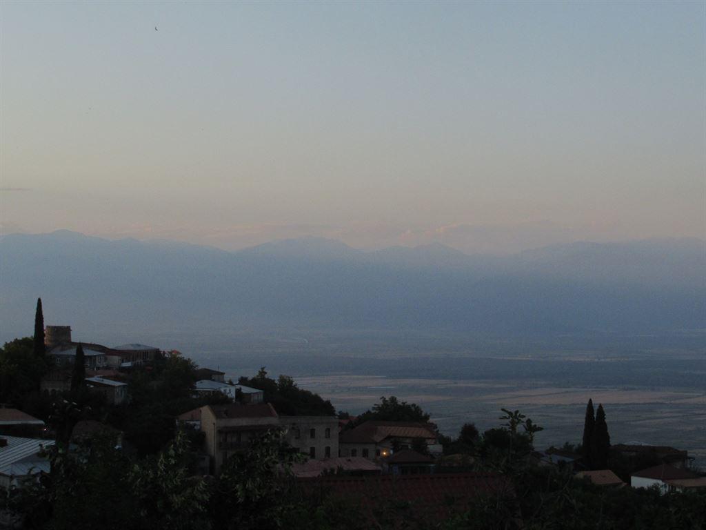 view5